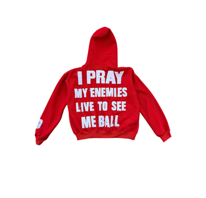 See Me Ball Zip Hoody